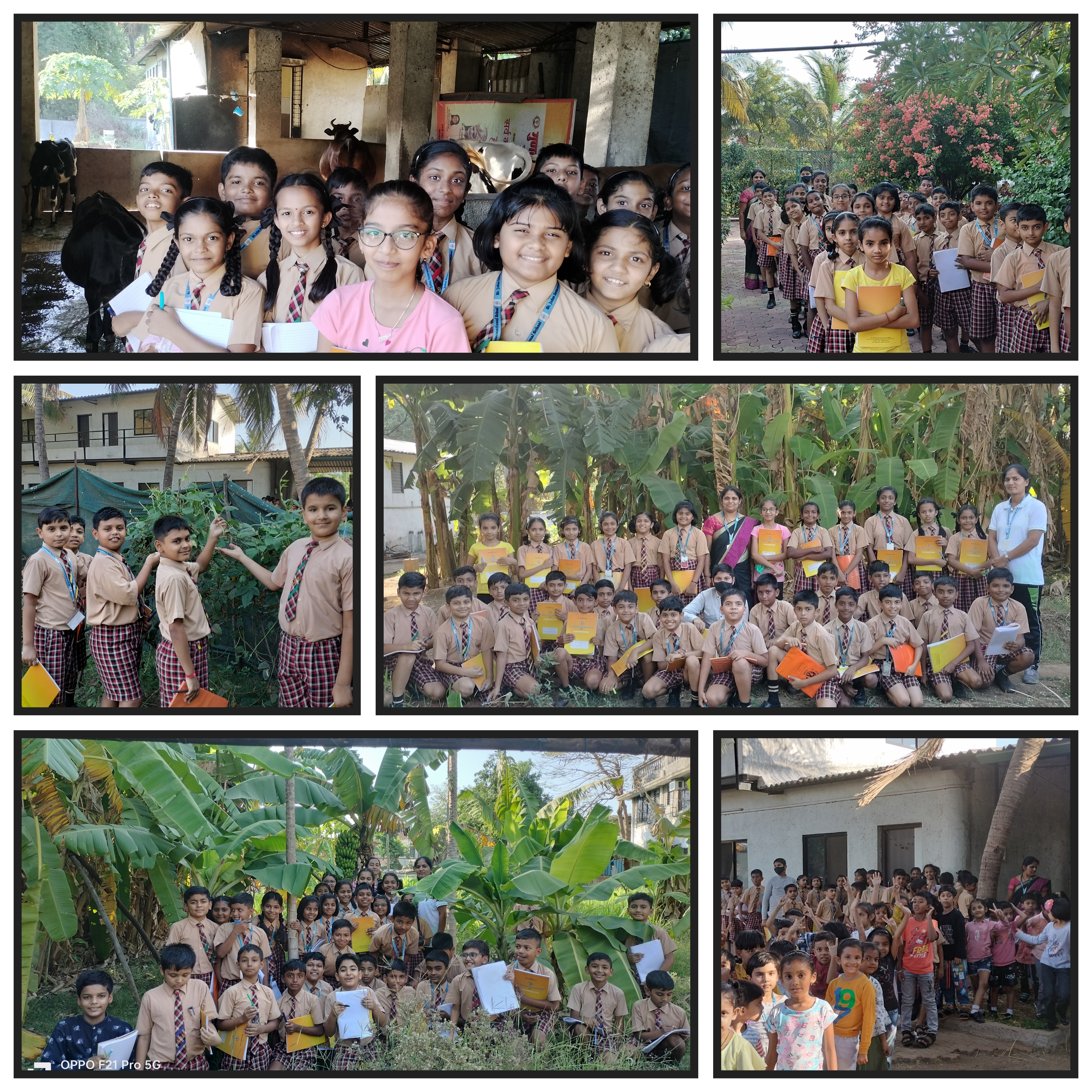 Field Trip to cowshed