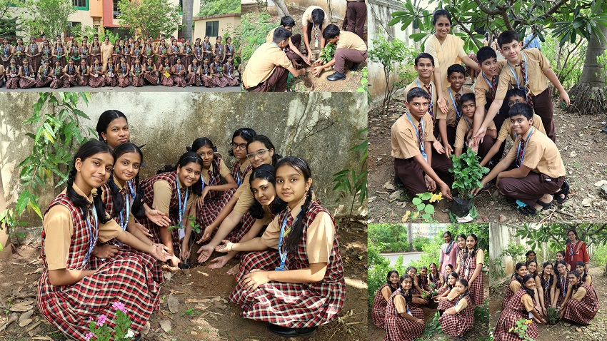World Environment Day
